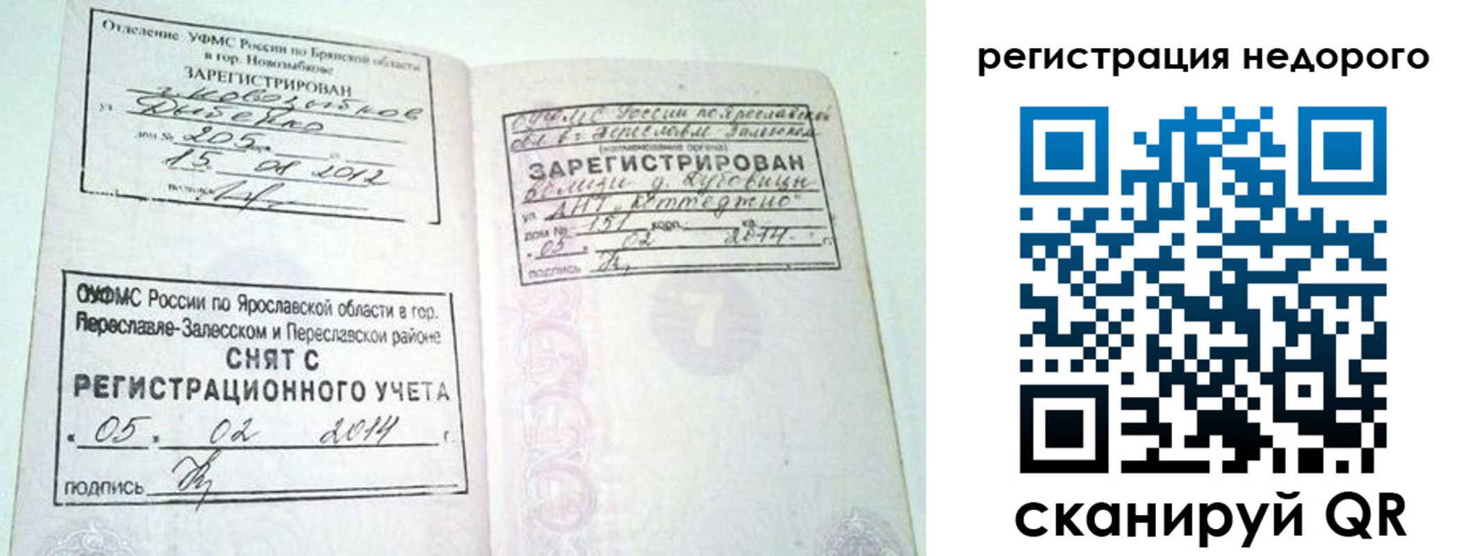 прописка поиск в Ростовской области